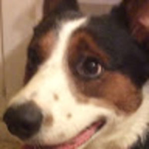 Meet your Posher, Meghan